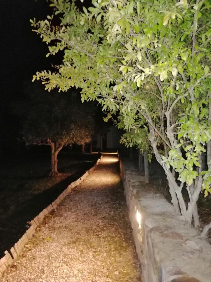 Quinta Da Tapada De Sao Pedro Villa Vimieiro  Ngoại thất bức ảnh