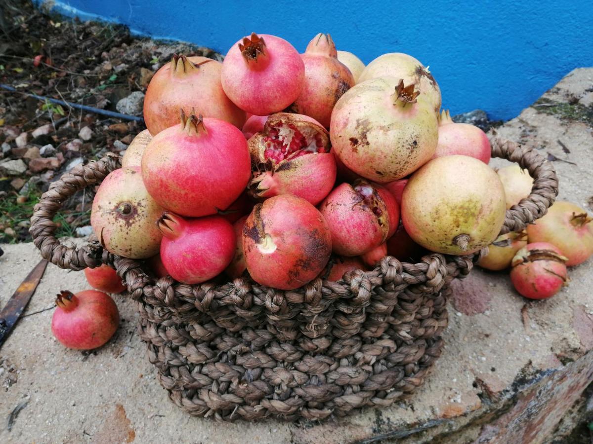 Quinta Da Tapada De Sao Pedro Villa Vimieiro  Ngoại thất bức ảnh