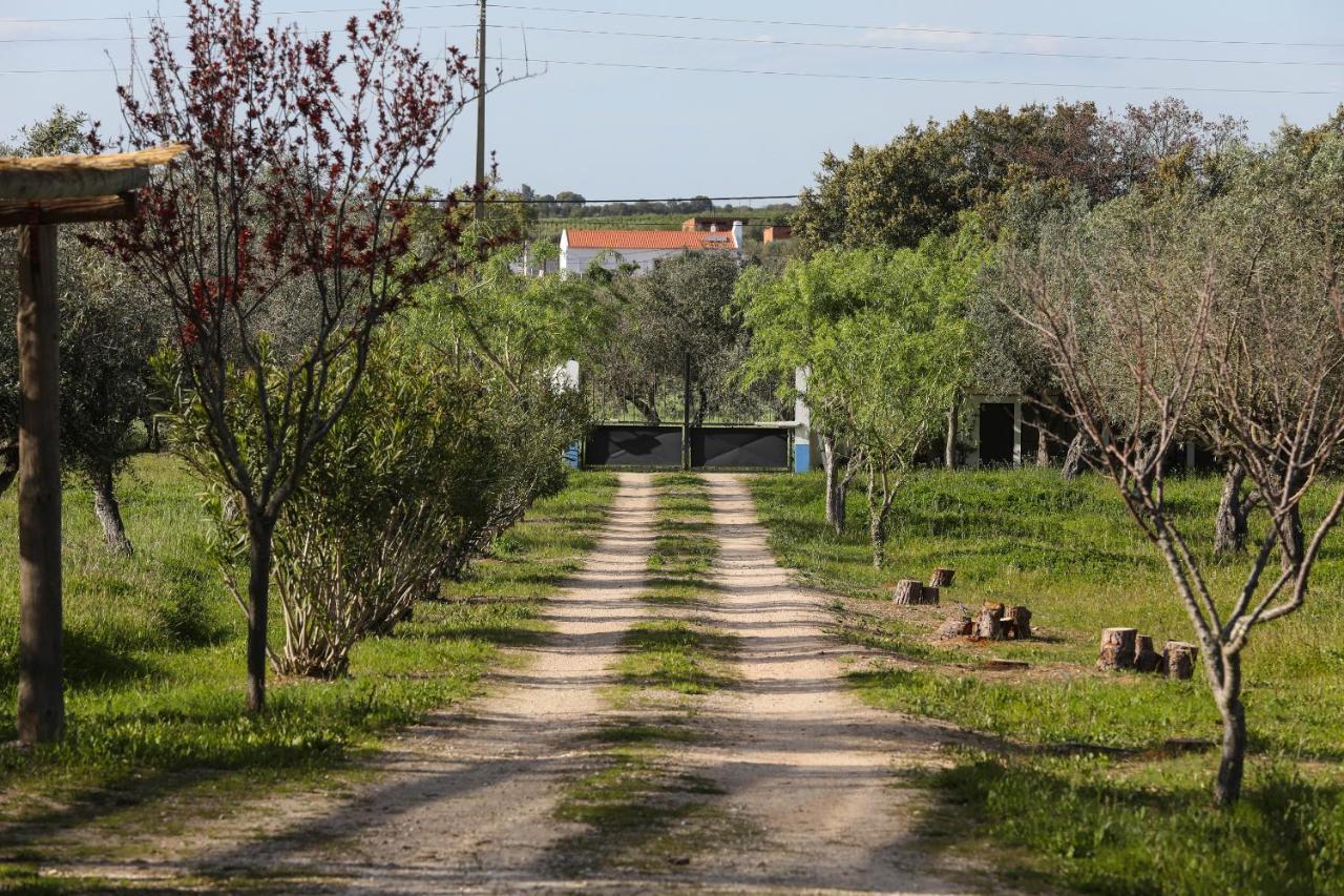 Quinta Da Tapada De Sao Pedro Villa Vimieiro  Ngoại thất bức ảnh