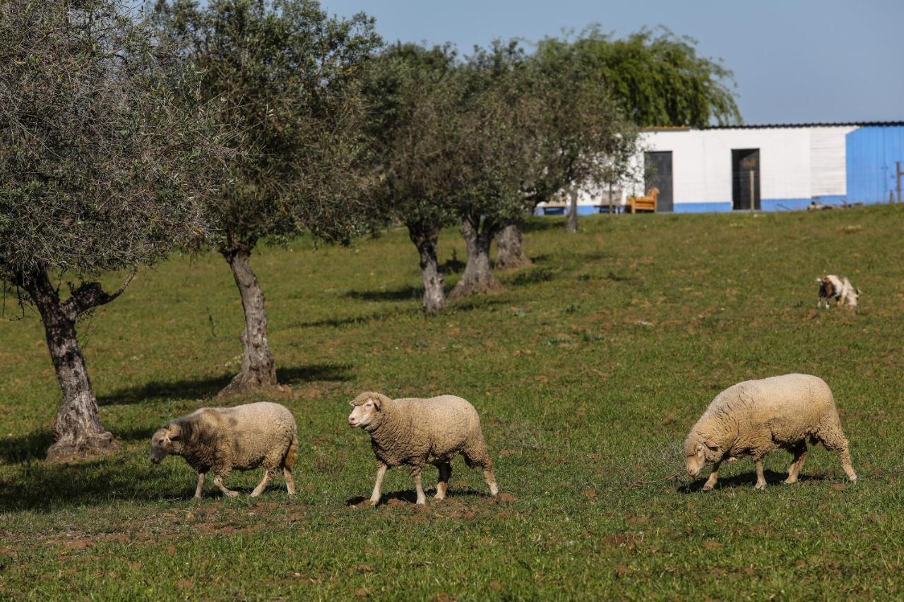 Quinta Da Tapada De Sao Pedro Villa Vimieiro  Ngoại thất bức ảnh