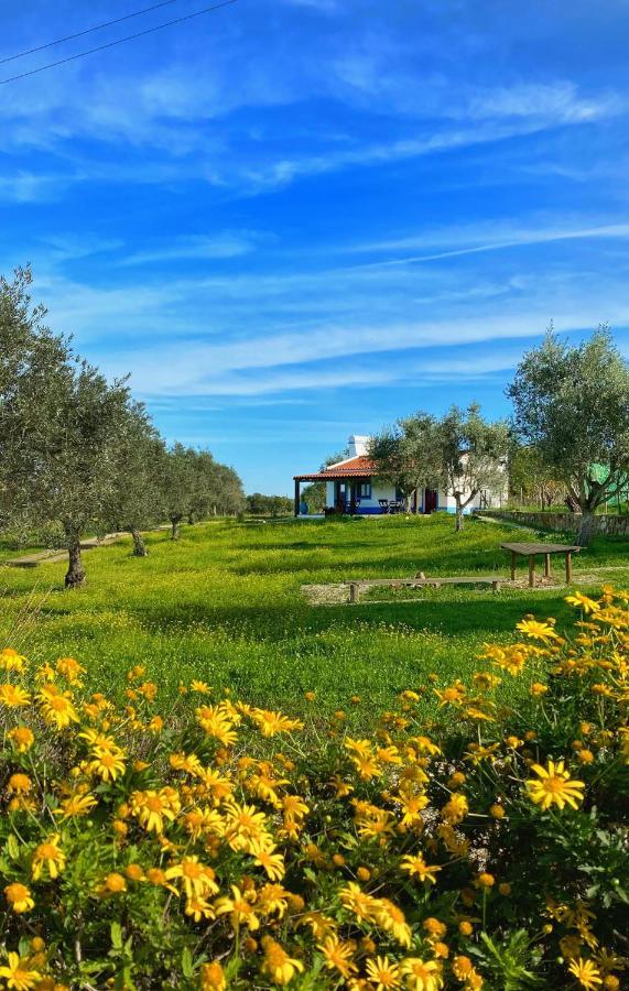 Quinta Da Tapada De Sao Pedro Villa Vimieiro  Ngoại thất bức ảnh