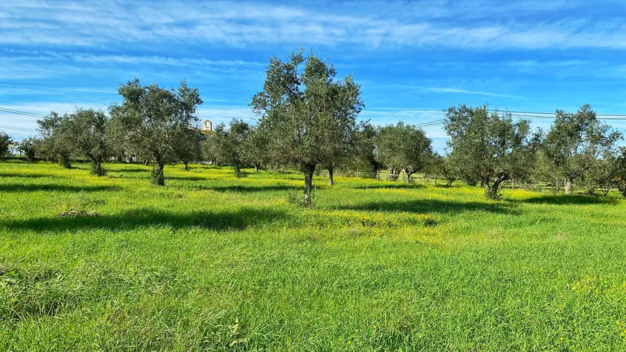 Quinta Da Tapada De Sao Pedro Villa Vimieiro  Ngoại thất bức ảnh
