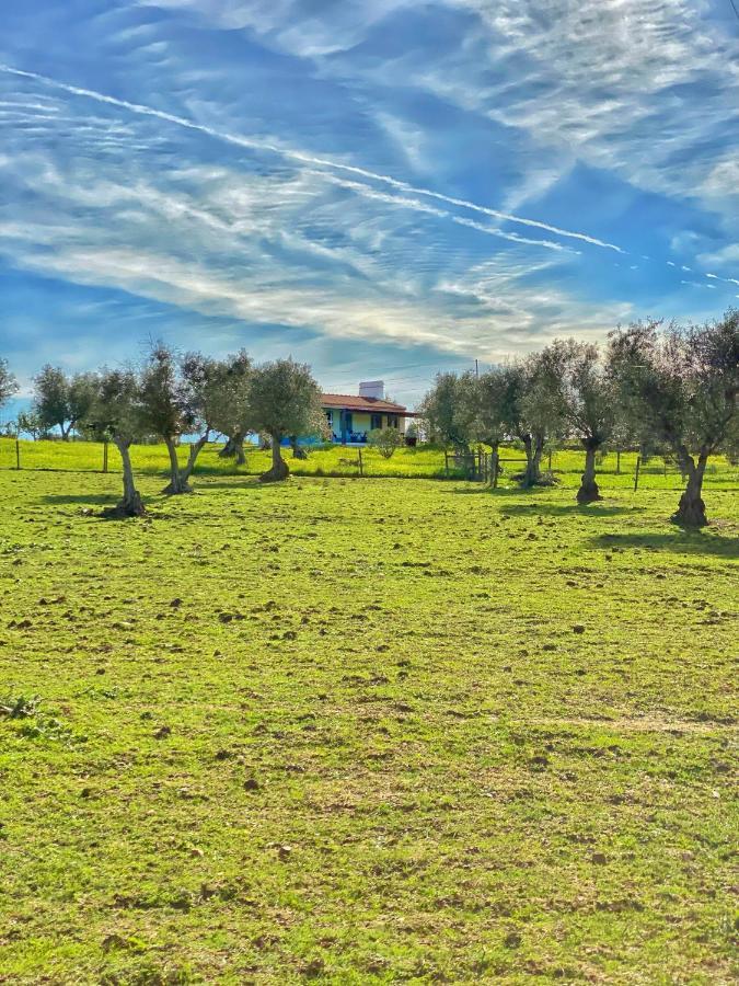 Quinta Da Tapada De Sao Pedro Villa Vimieiro  Ngoại thất bức ảnh